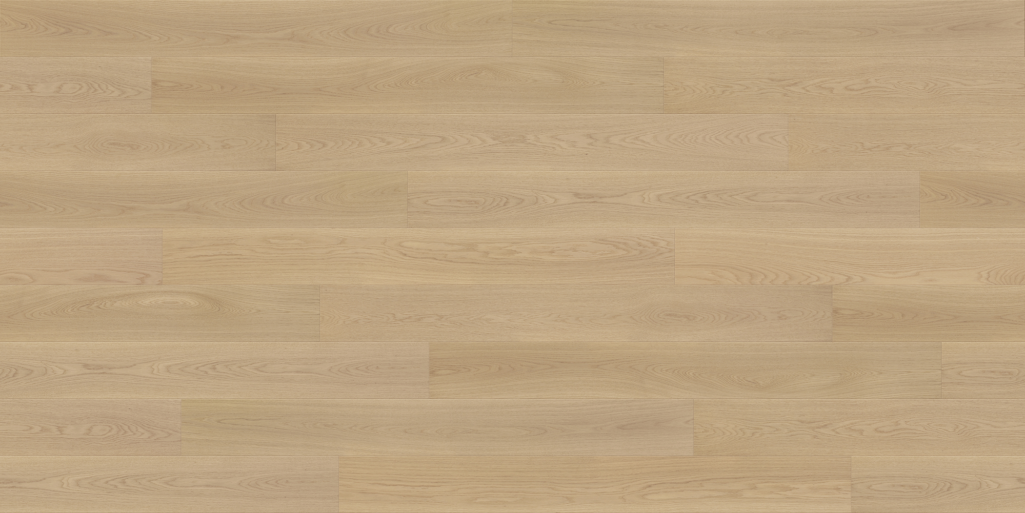 European Oak