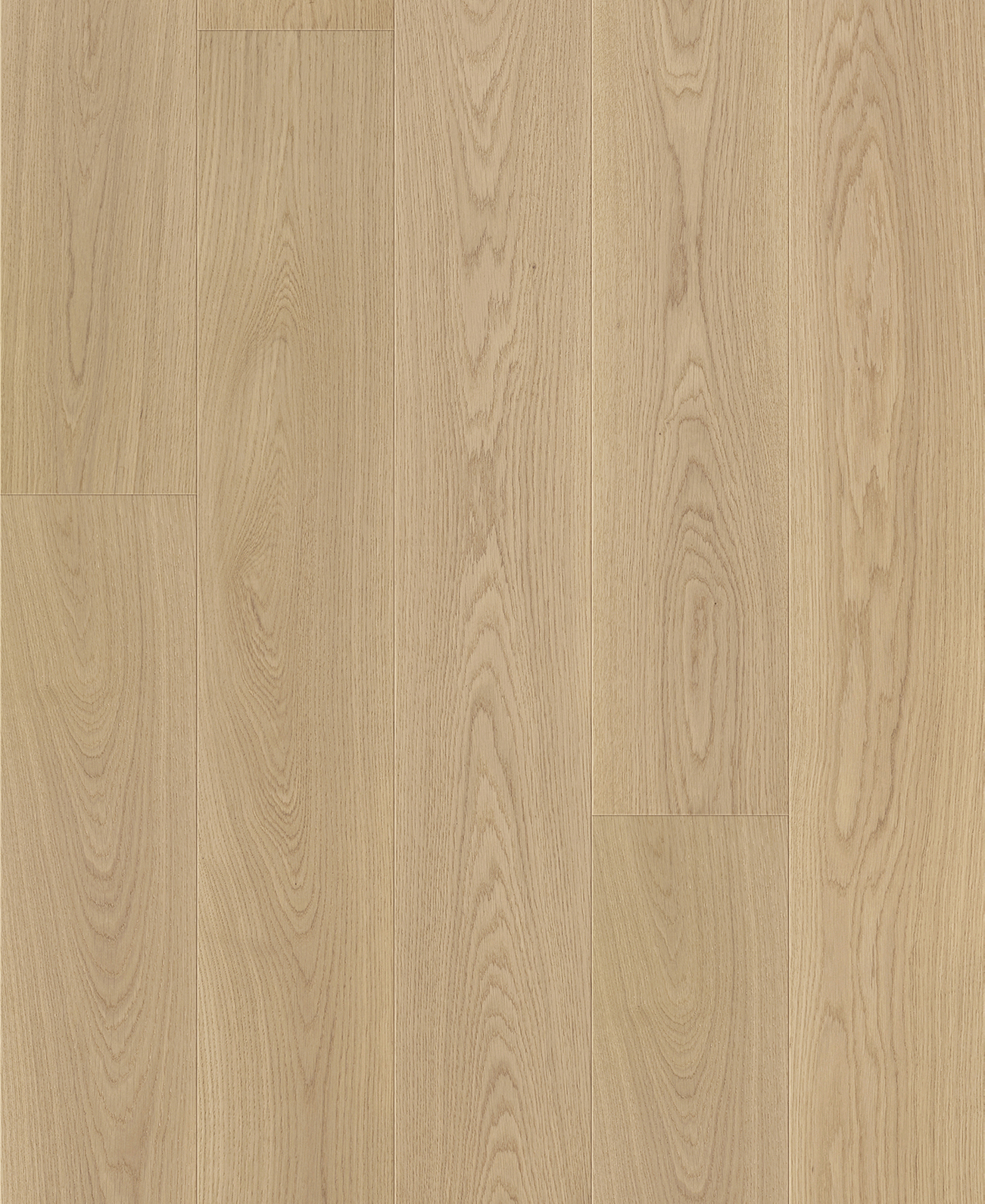 European Oak